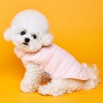 최고 강아지발열안감패딩 할인 아이템 BEST 6