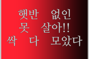 햇반 없인 못 살아 정말 못 살아! 현미, 솥반, 그냥 햇반까지 싹 다 모았다!