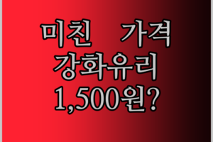 iPad Mini 7 강화유리? 이 가격 실화냐! 2팩에 1,500원?
