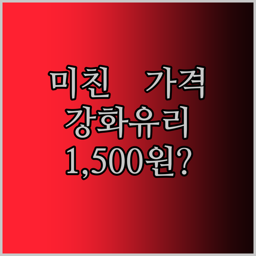 iPad Mini 7 강화유리? 이 가격 실화냐! 2팩에 1,500원?