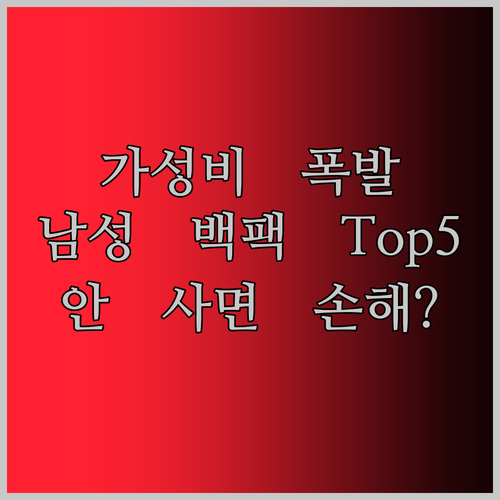 가성비 폭발 남성 백팩 Top5 전격 해부! 안 사면 손해?