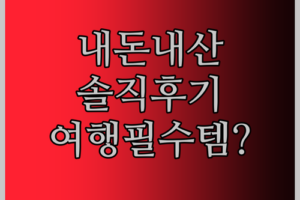 내 돈 주고 산 휴대용 비데 솔직 후기! 여행 필수템 등극?