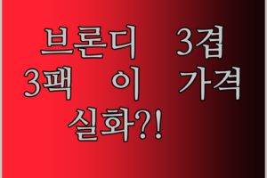 브론디 에코라벤더 3겹 화장지 써봤어요! 3팩에 이 가격 실화?