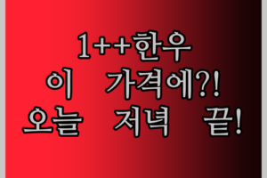 1++ 한우, 이 가격 실화?! 우삼겹부터 업진살, 투뿔 모듬까지! 오늘 저녁은 이걸로 끝!